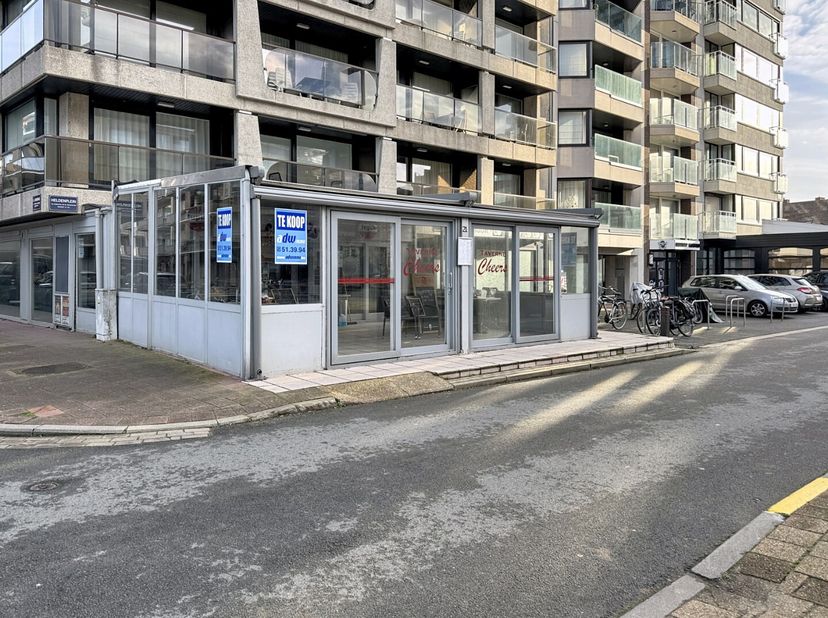 Bien professionnel à vendre
                    à 8301 Heist-aan-Zee
