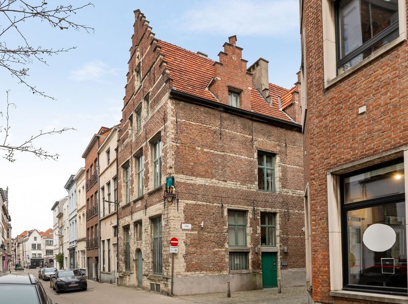 Propriété exceptionnelle avec espace d'entraînement et garage au cœur d'Anvers<br />
Den Hert", un bâtiment classé avec des éléments caractéristiques