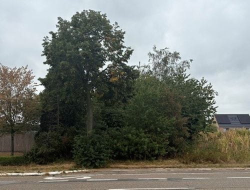                                         Terrain à bâtir à vendre à Elen, € 167.000
