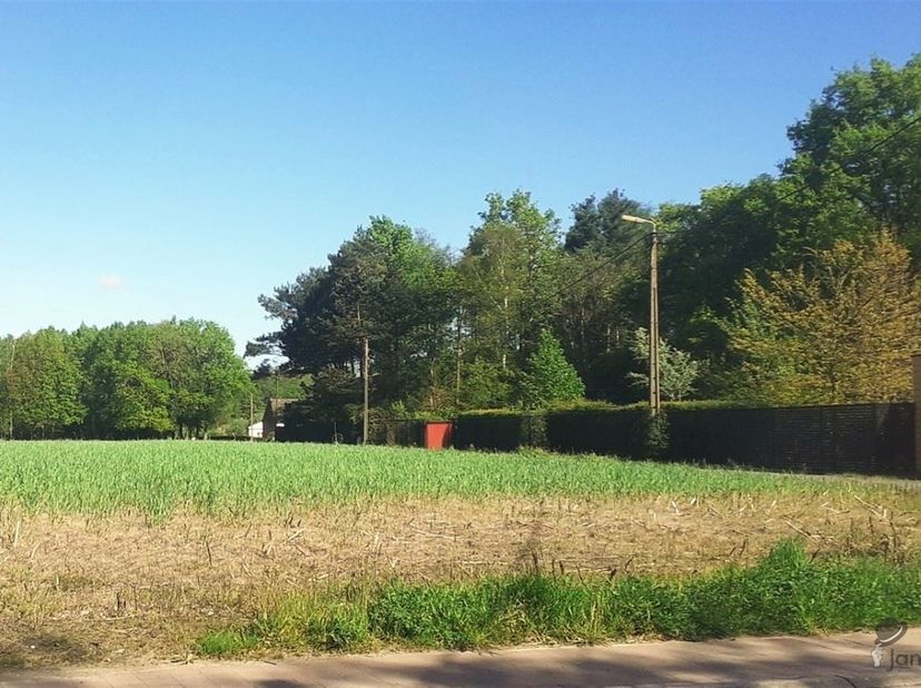 Spacieux terrain à bâtir (2544m²) ouvert à la construction à Baal.<br />
<br />
Vous êtes à la recherche d'un grand terrain à bâtir ouvert à la cons