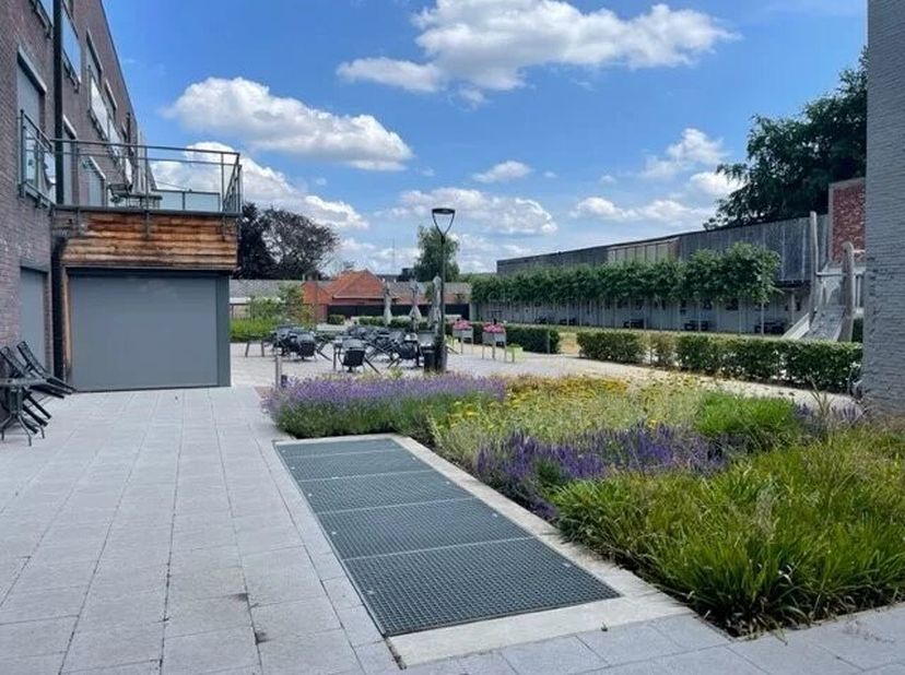 Deze flat is gloednieuw en is gelegen in residentie Gaudium in de Guido Gezellestraat te Mol, op wandelafstand van het centrum waardoor de nodige faci
