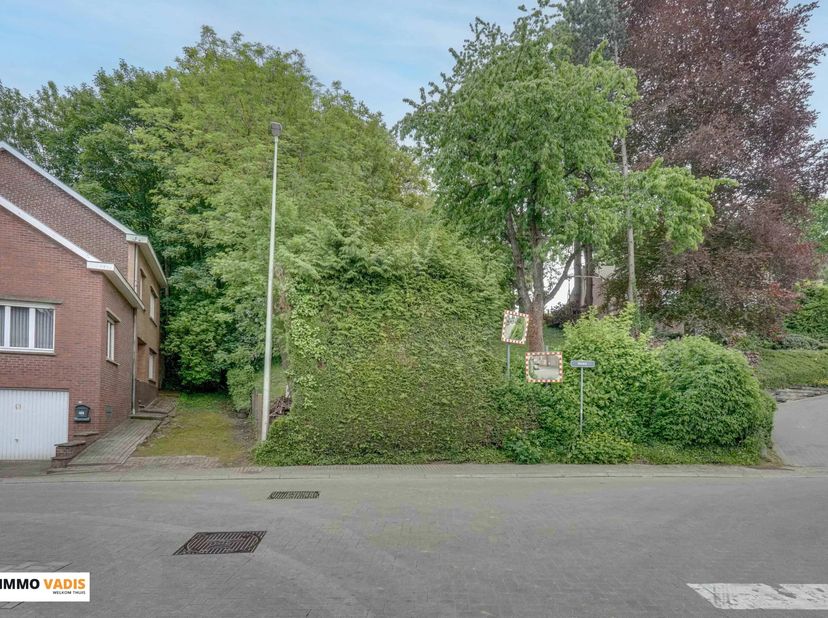 Deze rustig gelegen bouwgrond vind je aan de Viséweg 426, aan de rand van Tongeren-Borgloon.<br />
Het perceel heeft een breedte van ca. 12,6 meter en