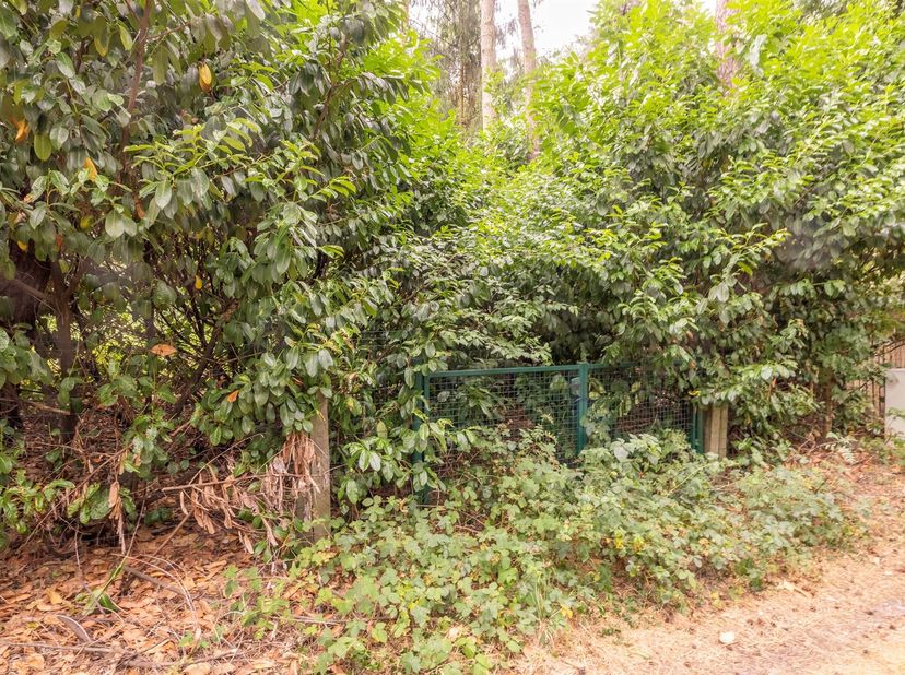 Terrain à vendre
                    à 2290 Vorselaar