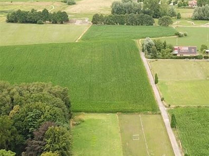 Terrain à vendre
                    à 2500 Lier