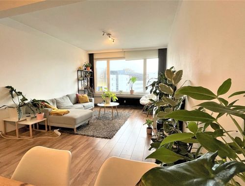                                         Appartement à louer à Antwerpen, € 1.195
