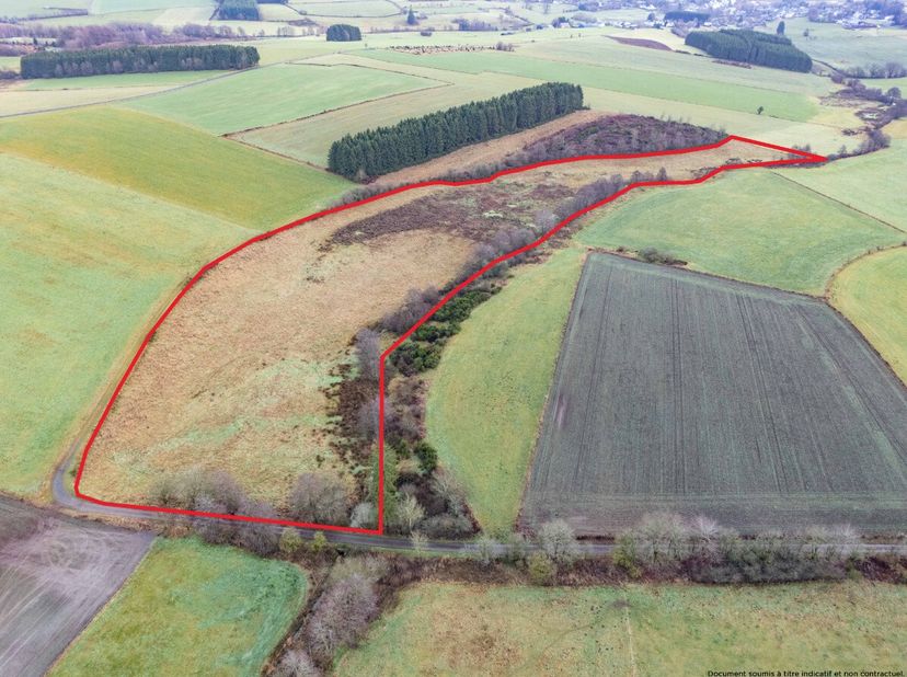 Lagence ERA B-LUX vous propose ce terrain agricole de plus de 4 hectares, en un seul tenant, situé entre Vaux-sur-Sûre et Bercheux, au lieu-dit La Fan
