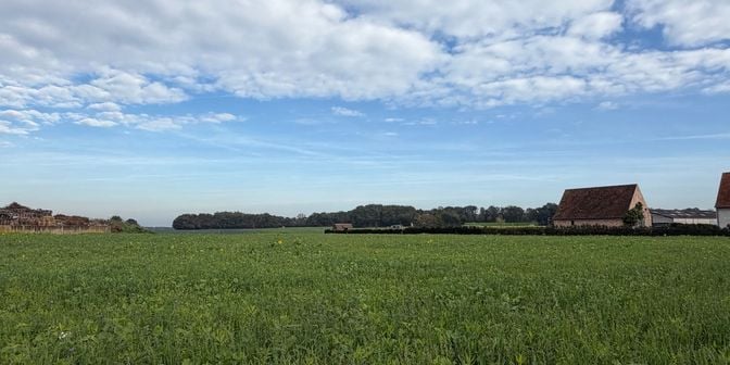 Grond te koop in Herentalse Steenweg 37, 2270 Herenthout