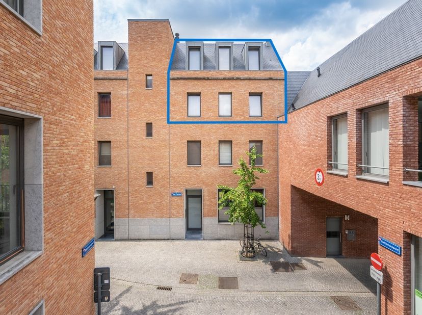 Op zoek naar een lichtrijke duplex met een autostaanplaats&amp;nbsp;op een toplocatie in Leuven centrum? Dan is dit uitzonderlijke appartement van 157 m²