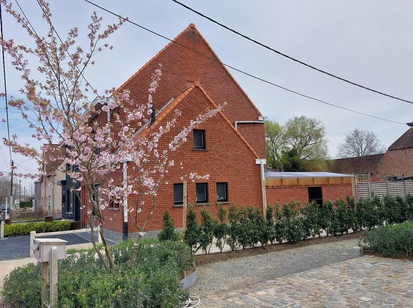 gerenoveerde woning zoekt rustige huurders -<br />
technisch staat het huis in orde met nieuwe elektriciteit en overal centrale verwarming. Isolatie e