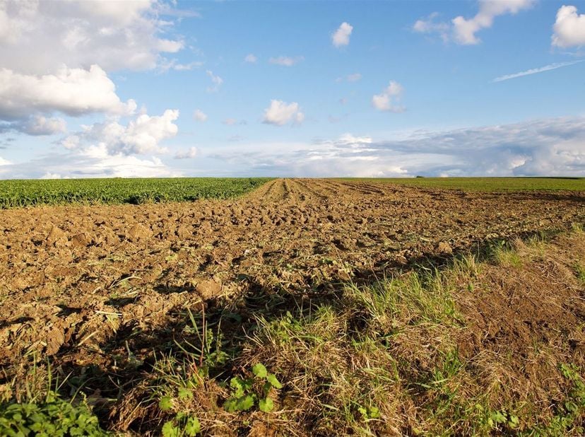 3 prachtige percelen grond van in totaal 5 ha 40 a 68 ca.<br />
Bodem van zeer goede kwaliteit.<br />
Elk perceel kan apart verkocht worden.<br />