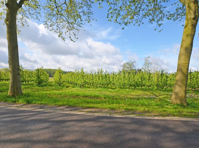 Deze bouwgrond (OB) met een perceelsoppervlakte van 16are80 is zeer rustig gelegen. Met een straatbreedte van ±24m te midden van een residentiële, gro