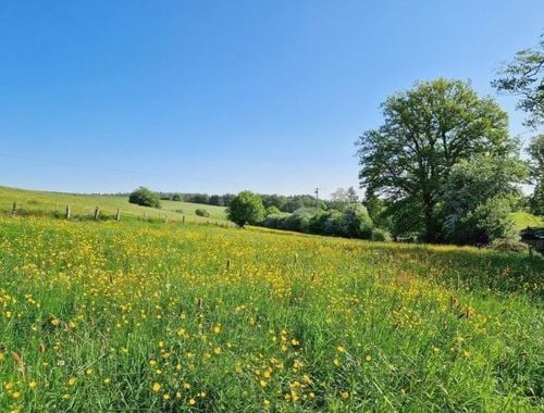                                         Bouwgrond te koop in Les Hayons, € 175.000
