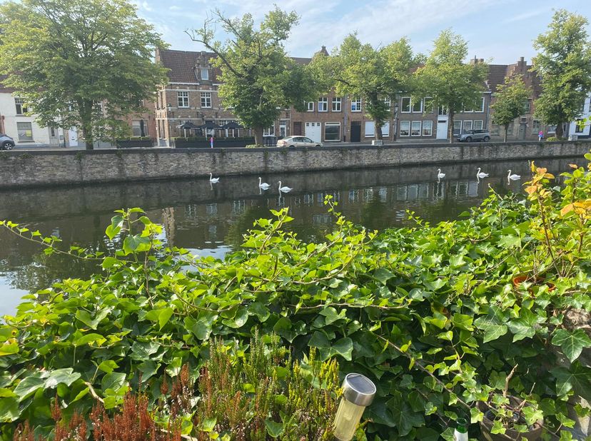 Charmante rijwoning in centrum Brugge met vlotte verbinding. De grote troef is het heerlijke terras dat rechtstreeks grenst aan de Potterierei. Ook aa
