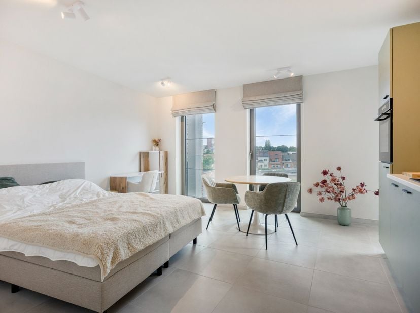 Deze moderne en energiezuinige bemeubelde studio is ideaal gelegen op wandelafstand van het station van Leuven en het centrum.<br />
<br />
De studio