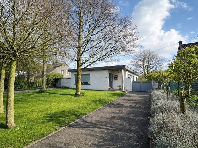 Maison à vendre
                    à 8820 Torhout