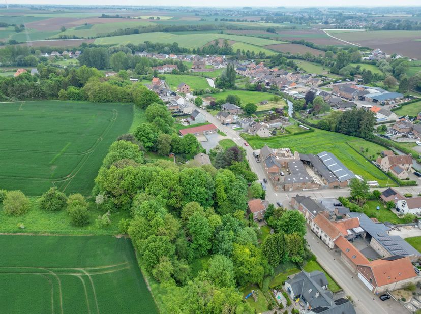 Deze open bebouwing, gelegen aan de Visésteenweg 424 in Tongeren-Borgloon, biedt tal van mogelijkheden voor wie op zoek is naar een renovatieproject.<