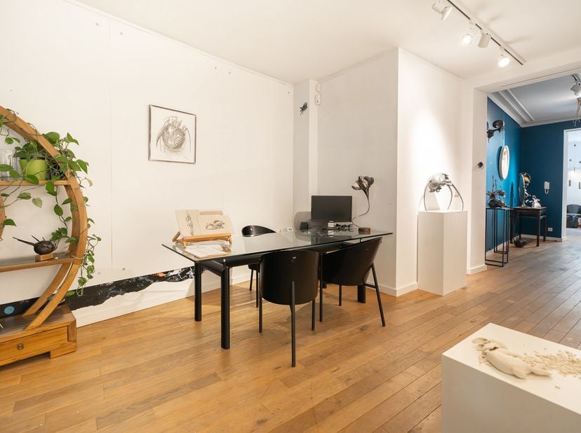 À l’angle de la rue des Chandeliers, vaste maison de maître en double corps, datant du XVIIe siècle, ce lumineux espace commercial loué par une galeri
