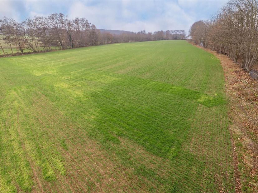 Landbouwgrond van 21.290m² te Heist-op-den-Berg.<br />
Het perceel ligt met een breedte van 218meter tegen de Haterbeekstraat en is gemiddeld 105m die