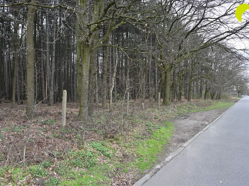 Deze mooie bosgrond is gelegen tussen de Gebroeders Naudslaan en de Wachtbekestraat te Wachtebeke. <br />
<br />
Voor meer info bel ons op 03-449 42
