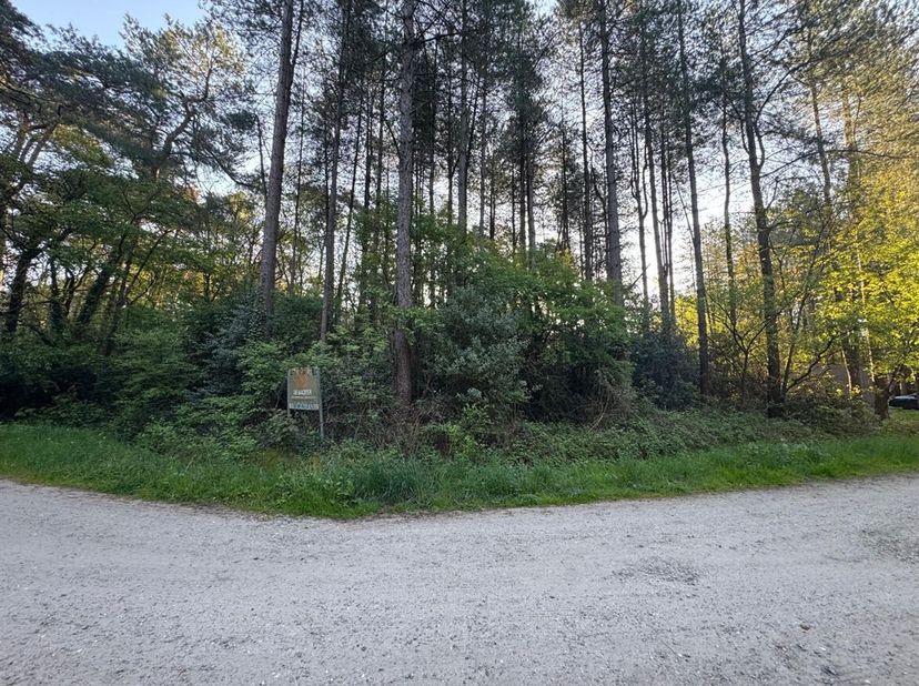 Prachtig gelegen recreatiegrond met verkavelingsvergunning te Wechelderzande<br />
In een uitzonderlijk groene en rustige omgeving in Wechelderzande b