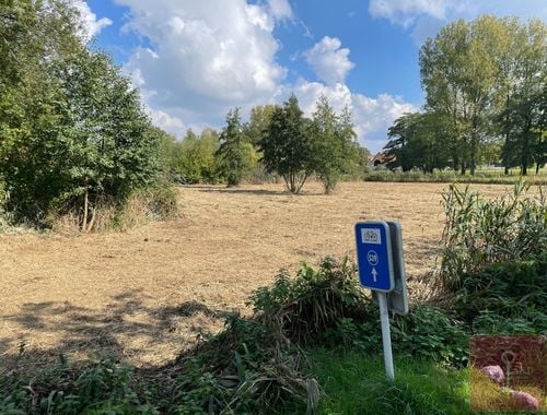                             Terrain agricole à vendre à Helchteren
