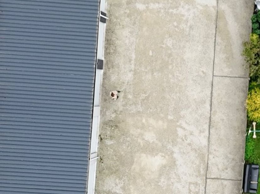 Deze autostandplaats is gelegen achter een kleine residentie, in het centrum van Staden. <br />
<br />
Er zijn 3 autostandplaatsen te koop. <br />
<br