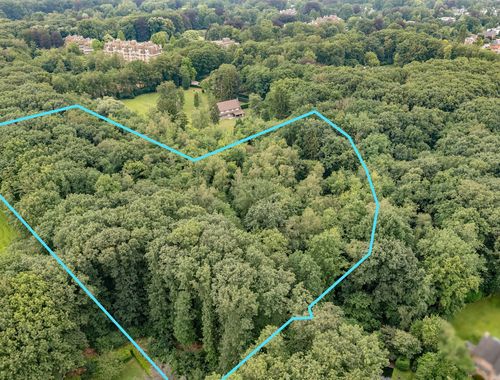                                         Bos te koop in Kapellen, € 95.000
