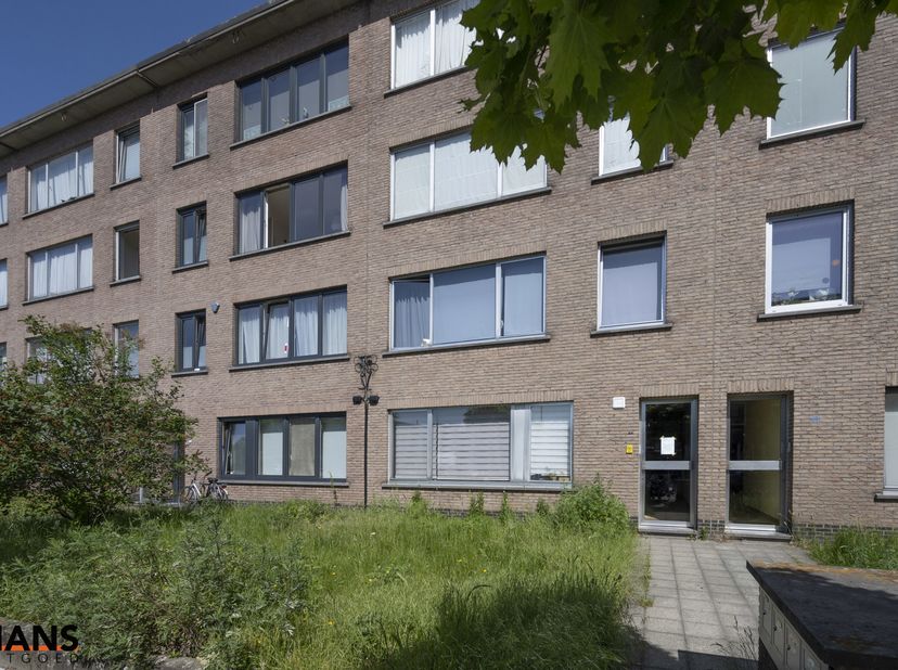 Appartement à louer
                    à 2150 Borsbeek