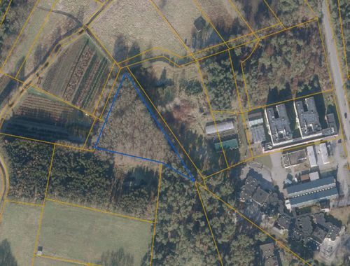                                         Bois à vendre à Lommel, € 25.000

