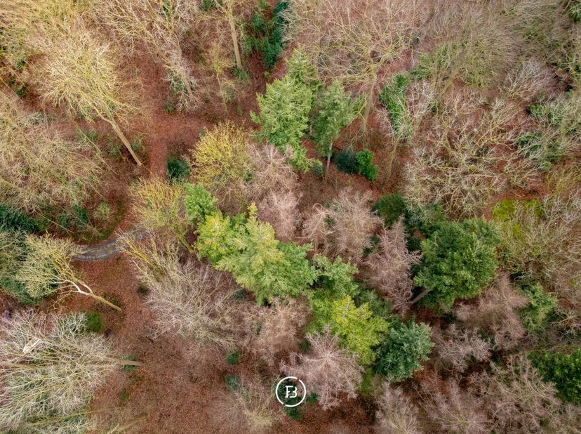 Twee bouwgronden in woonparkgebied langs de Zeeweg in Sint-Andries, samen goed voor 11.304 m². De percelen dienen gezamenlijk aangekocht te worden en