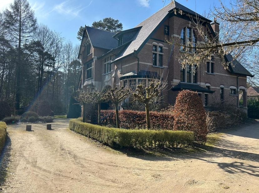 Bien professionnel à louer à Larikslaan 1,
                    2950 Kapellen