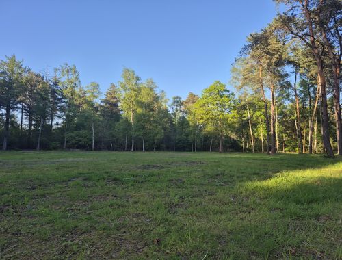                                         Prairie à vendre à Achel, € 32.000
