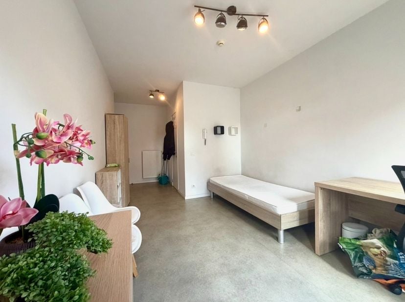 Kot-Colocation à louer
                    à 8500 Kortrijk