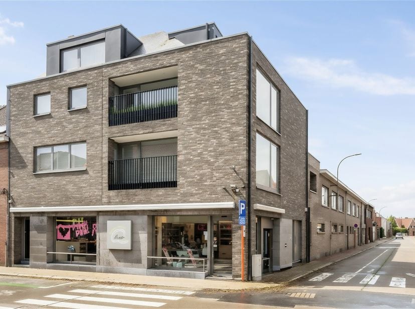 Bien professionnel à vendre
                    à 8940 Geluwe