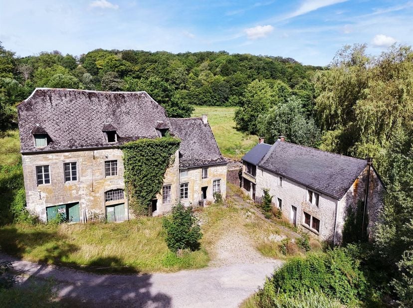 In het hart van de Chinelle-vallei, in een groene en rustige omgeving, ligt dit oude complex bestaande uit een woonhuis en de boerderij van de zagerij
