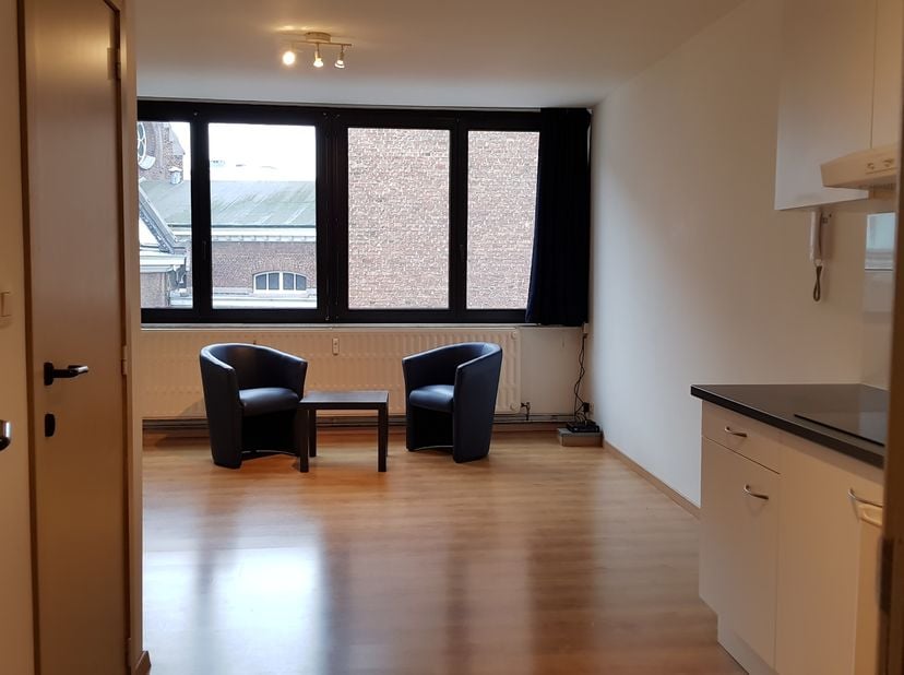 Ruime en rustig gelegen studio op derde verdieping met leef/slaapruimte met open keuken (koelkast, kookplaat en dampkap), badkamer met wc, lavabo en g