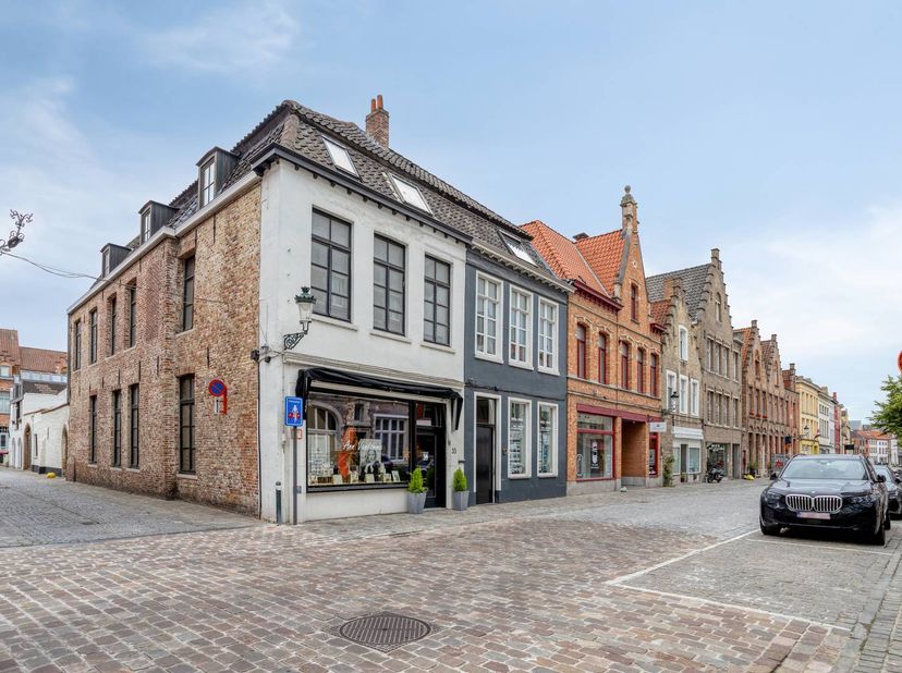 Deze ruime handelswoning wordt momenteel uitgebaat als schoonheidsinstituut, bestaande uit het gelijkvloerse en de eerste verdieping. <br />
Andere op