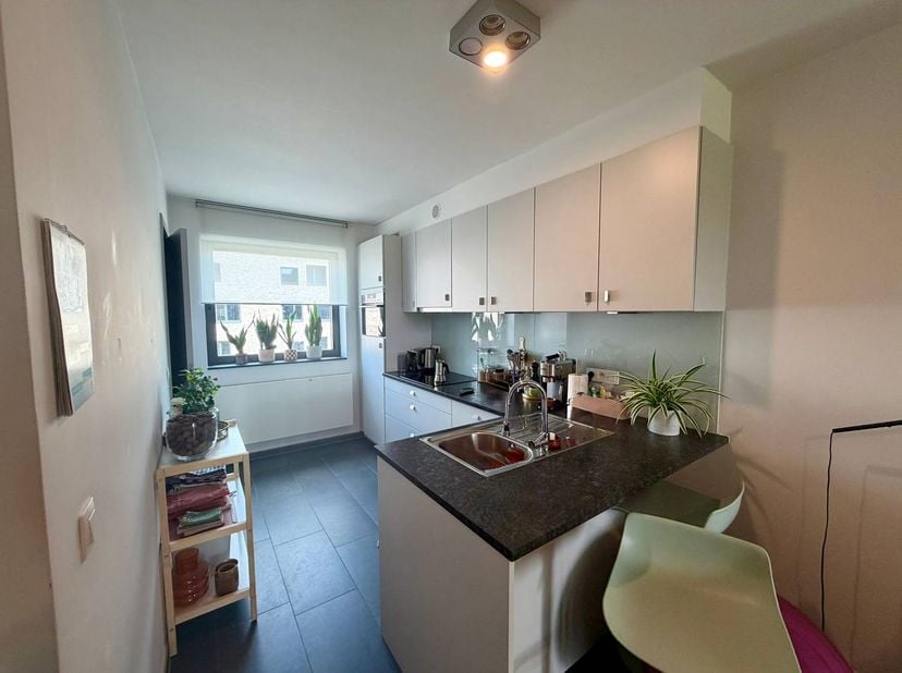 Dit ruime appartement met 2 slaapkamers bevindt zich op wandelafstand van het centrum van Hasselt. Het ligt in een rustige omgeving aan het Vredespark