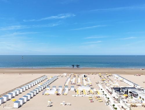                             Appartement te koop in Knokke
