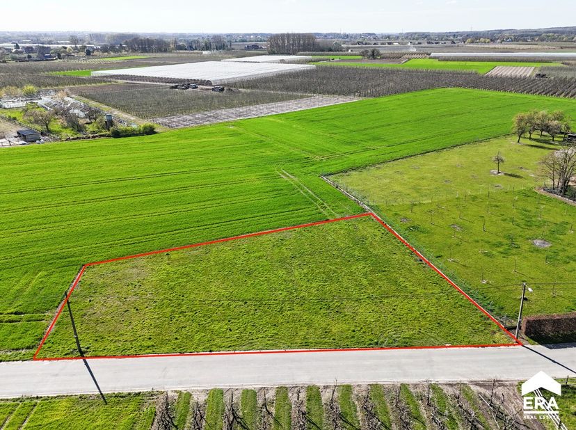 Terrain à vendre
                    à 3800 Sint-Truiden