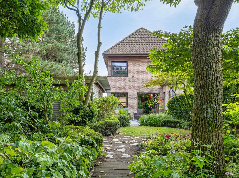 Maison à vendre
                    à 3990 Wijchmaal