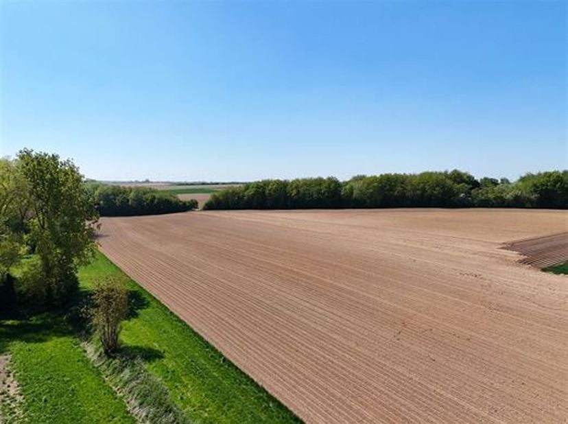 Prachtig akkerland met een oppervlakte van 2 Ha 87 a 10 ca vrij voor bewoning na de oogst van 2025.<br />
Gemakkelijk bereikbaar over de weg.<br />
Bo