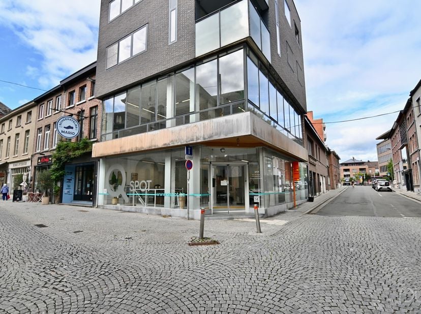 Bien professionnel à louer à Breendonkstraat 14,
                    3800 Sint-Truiden