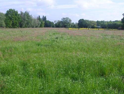                                         Terrain agricole à vendre à Putte, € 320.000
