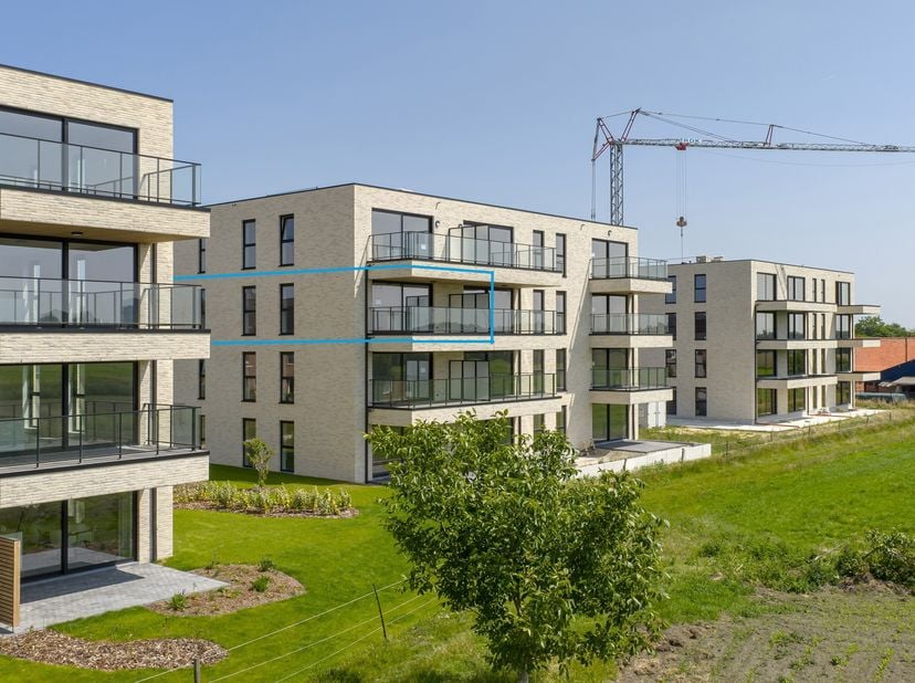 Welkom aan het nieuwe klokbekererf in Oud-Turnhout: Een nieuwe en doodlopende verkaveling in Oosthoven, grenzend aan uitgestrekte velden. Hier bent u