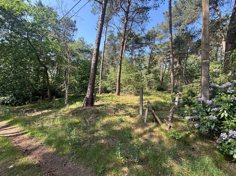2 bois d'une superficie totale de 49a 90ca à Meerhout<br />
Situation : Situé dans un quartier vert et calme à Meerhout<br />
Description : 2 terrains