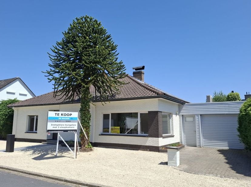 Huis te koop in Daalbos 40,
                    9290 Berlare