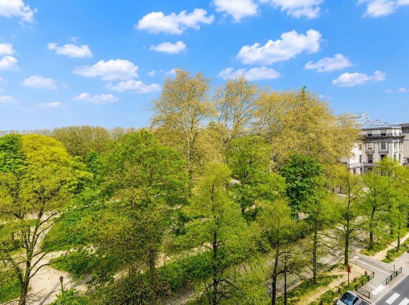 Appartement te koop in Avenue des Nerviens 79 bus 7D,
                    1040 Etterbeek