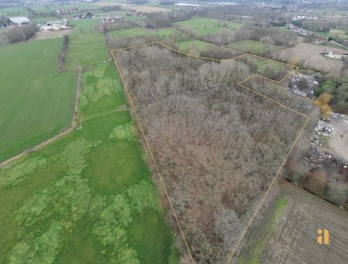                                         Bois à vendre à Beervelde, € 185.000

