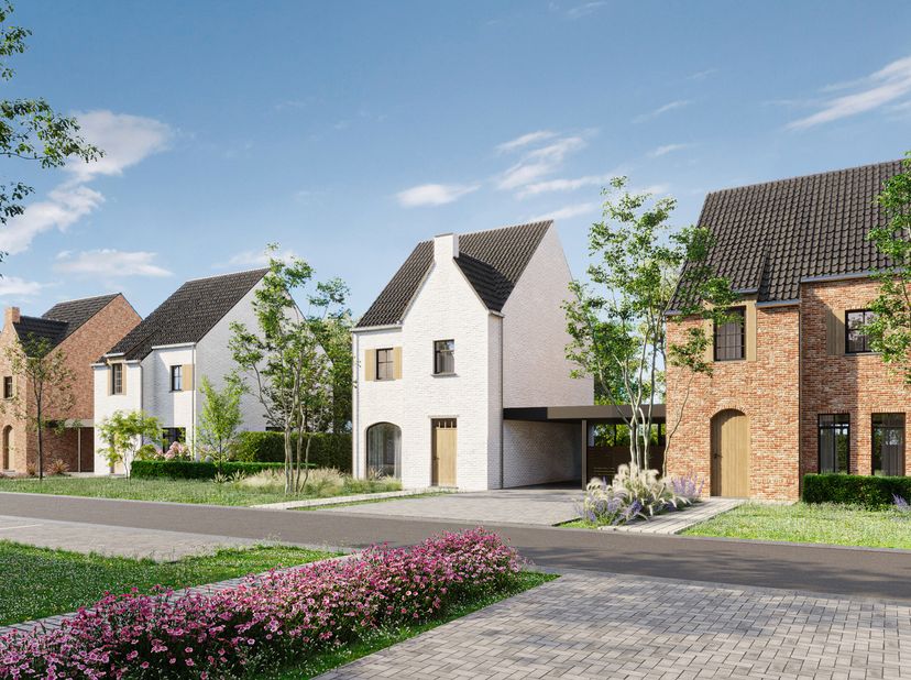Maison à vendre
                    à 3650 Lanklaar